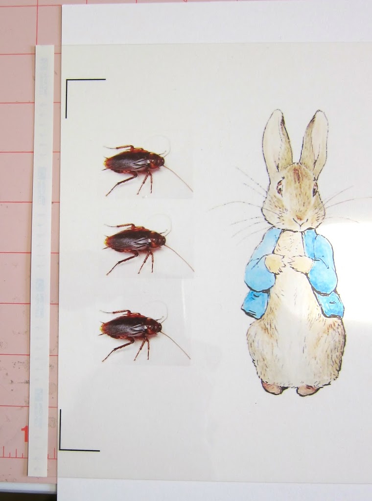 Printed roaches for prank