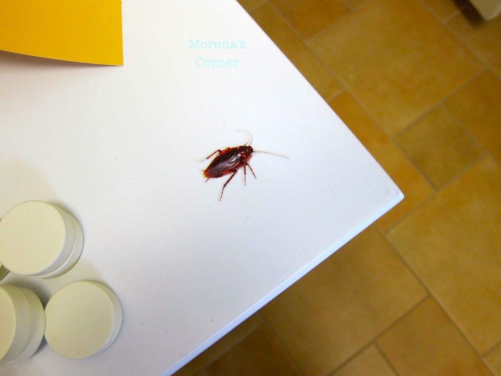 Fake roach gag