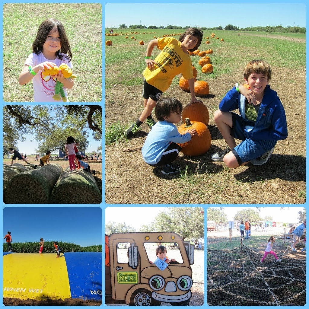 Central Texas fall fun South Texas Maize