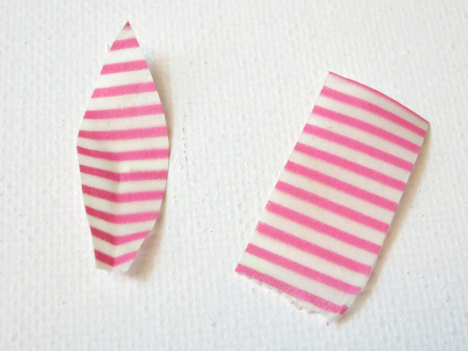 washi ears