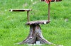 How to Make a Woodland Themed DIY Cupcake Stand