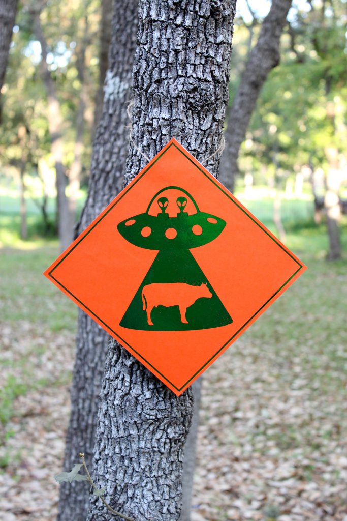 Alien abduction warning sign project - free printables