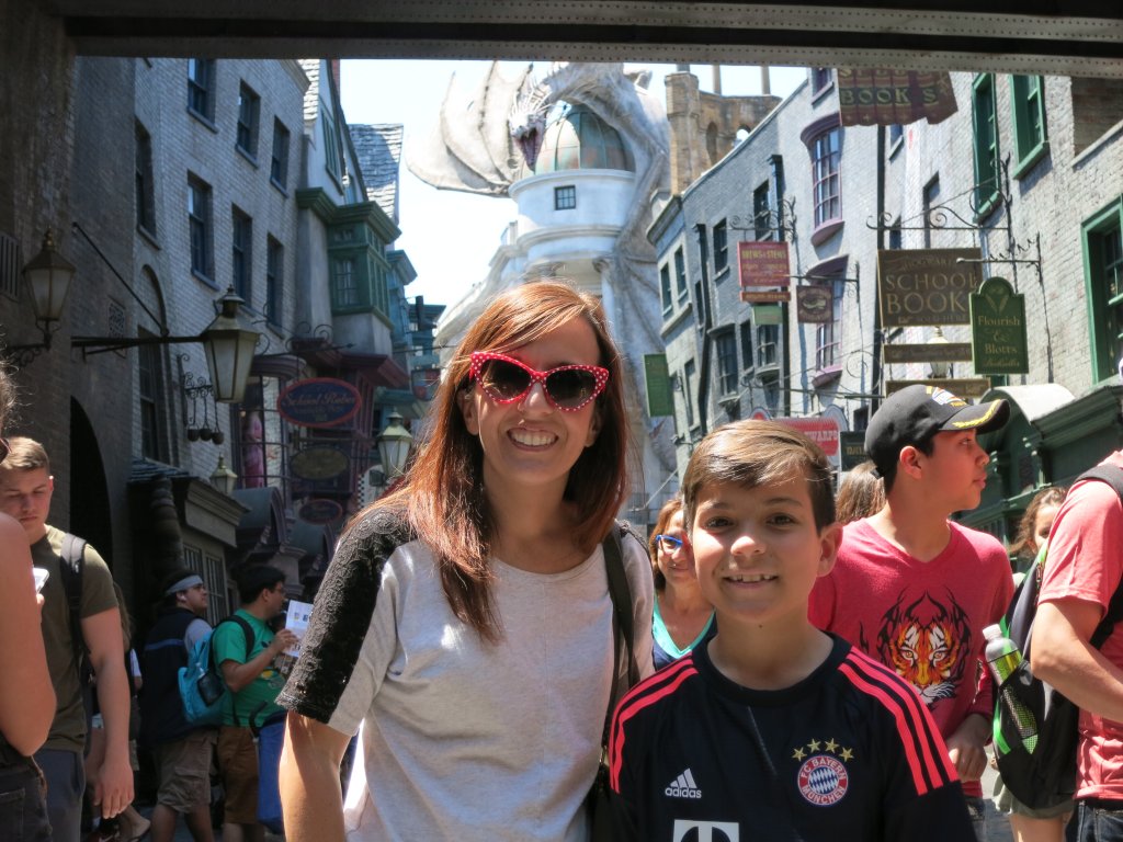 The Wizarding World of Harry Potter