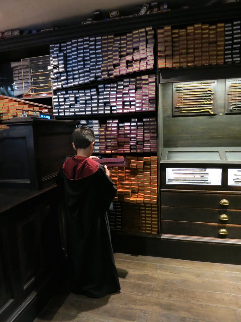 The Wizarding World of Harry Potter