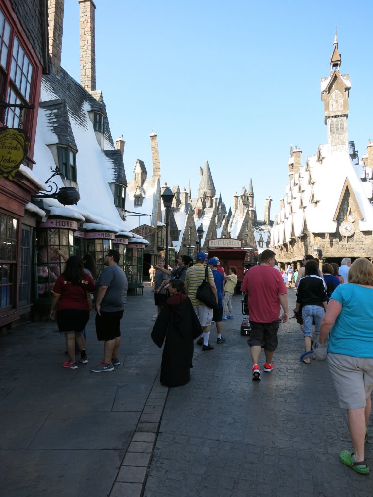 The Wizarding World of Harry Potter