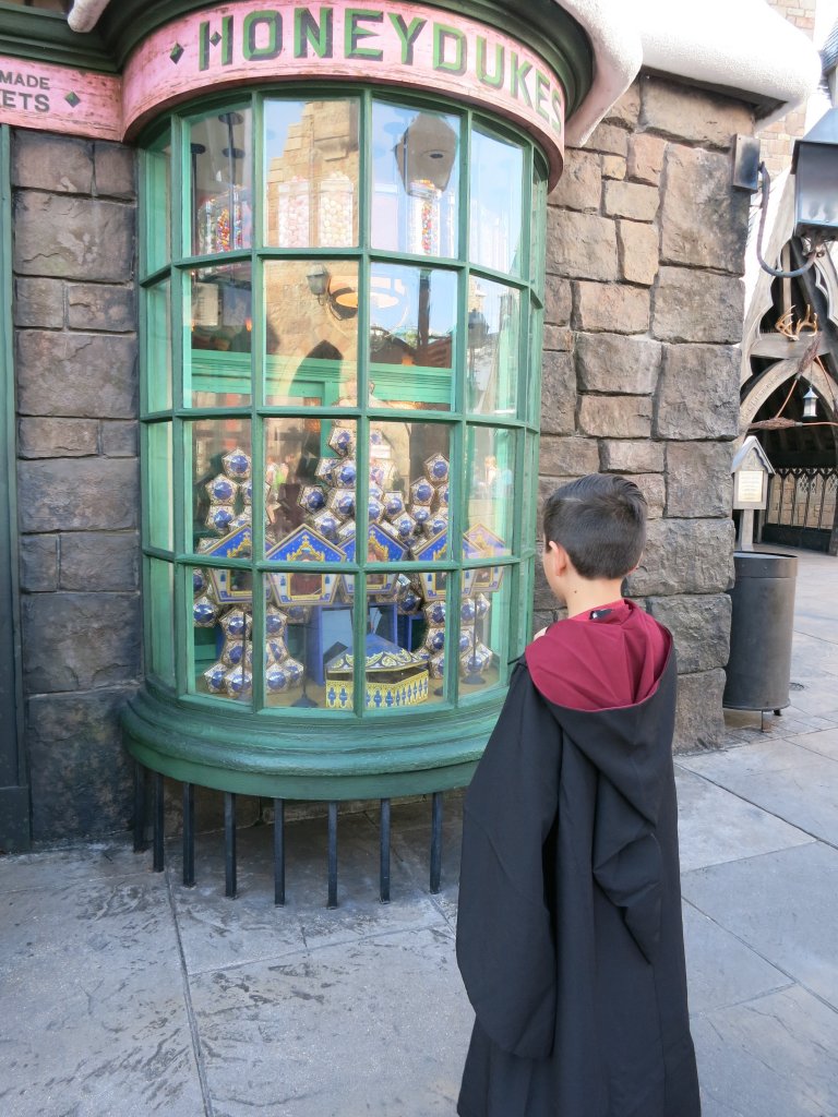 The Wizarding World of Harry Potter