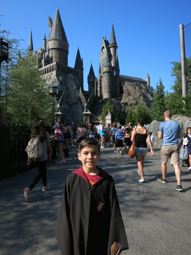 The Wizarding World of Harry Potter