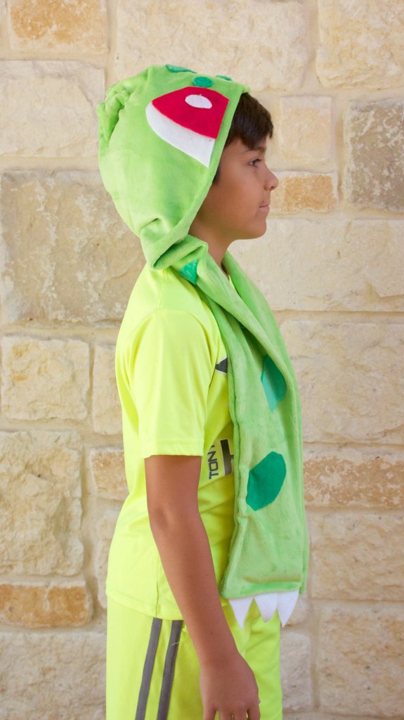 bulbasaur scarf side view