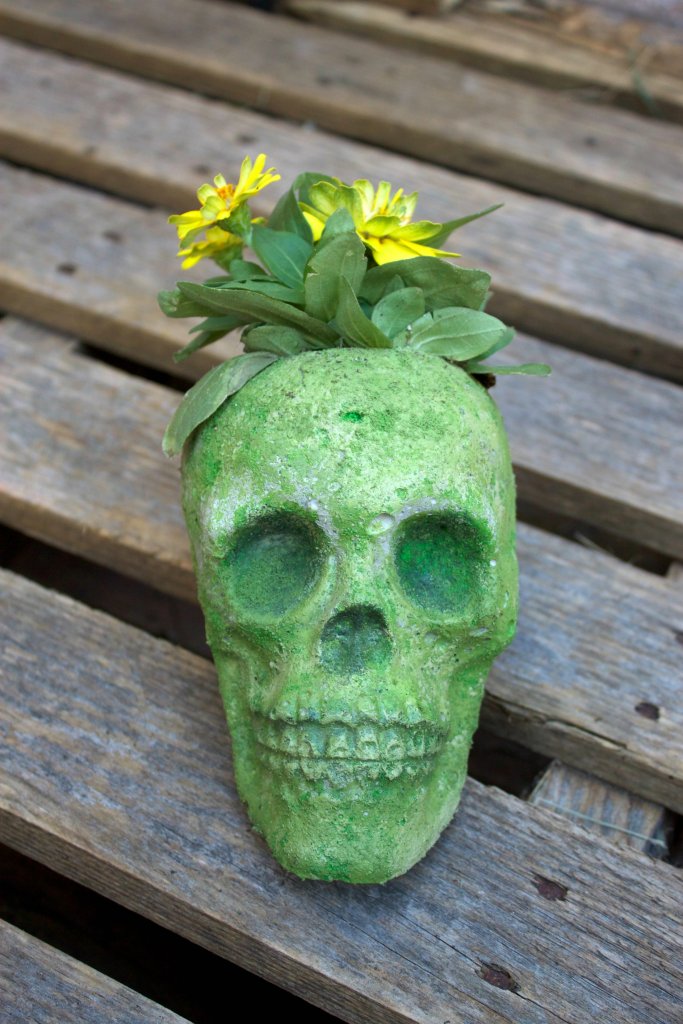 diy-skull-planter