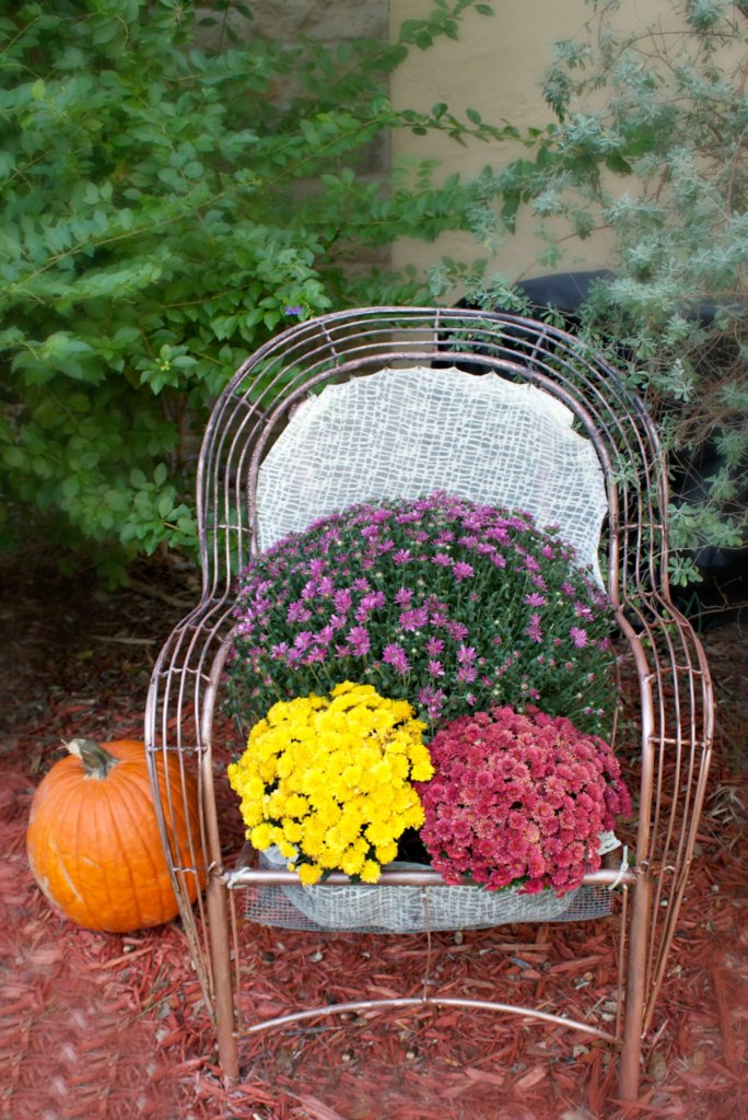 chair garden