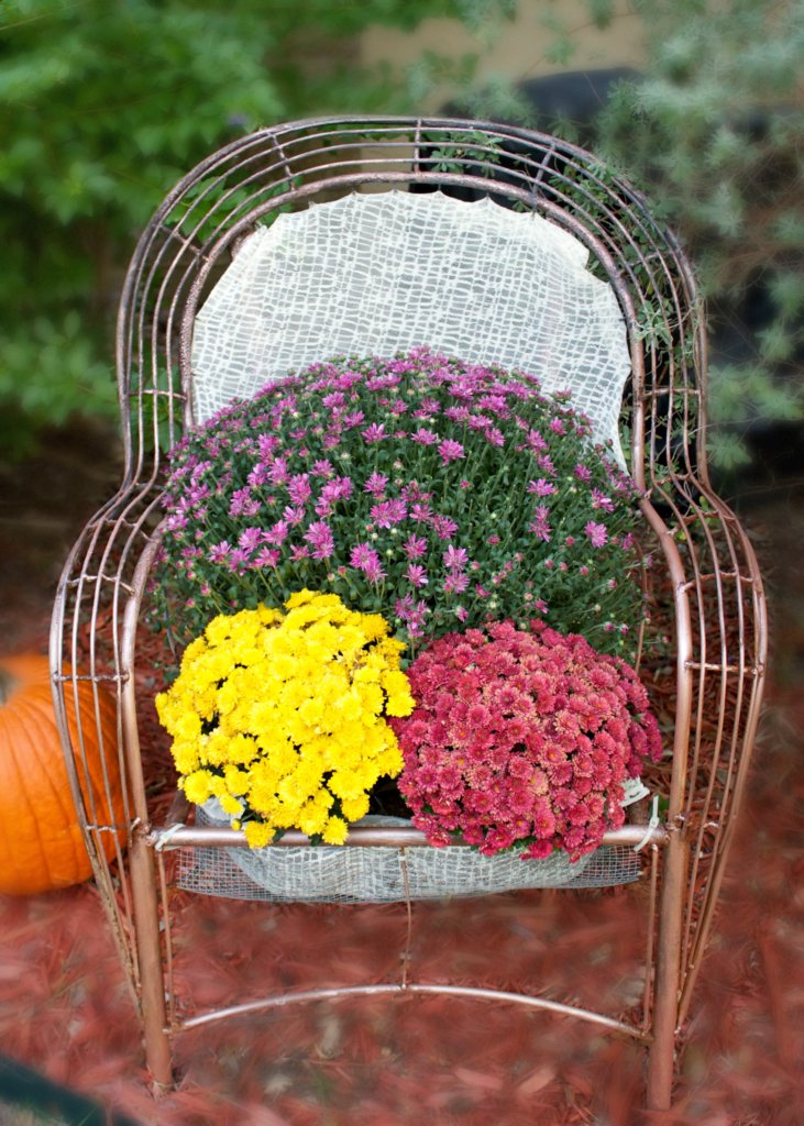Chair Planter Tutorial: Creative Gardening