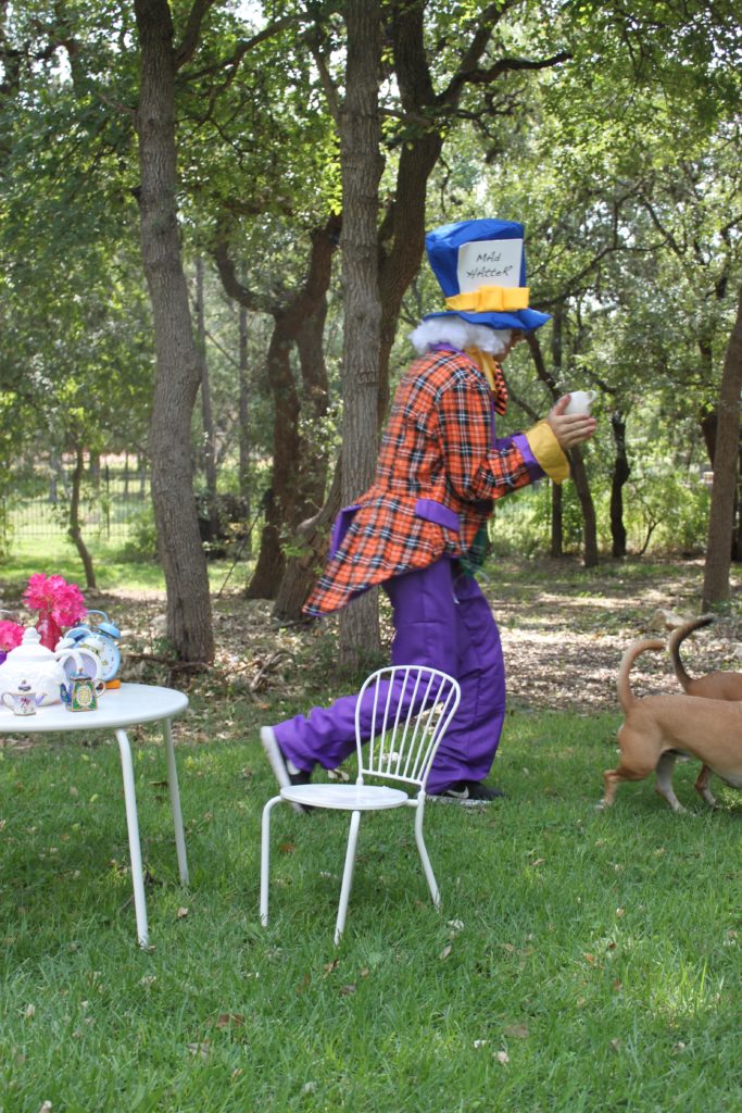 This Mad Hatter wig is the perfect DIY accessory for your Alice in Wonderland themed costume. Learn how easy it is to make your own wig.