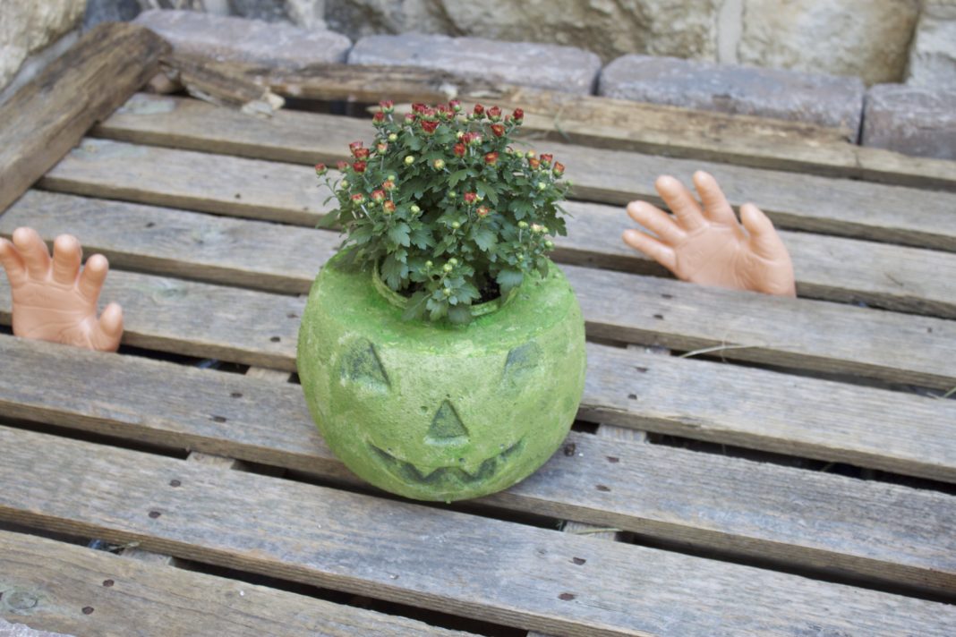 make a cement planter from a pumpkin pail