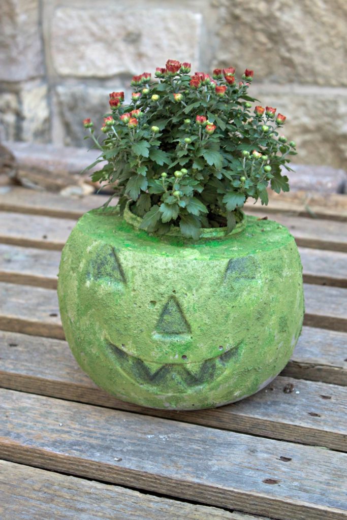DIY cement planter for mums