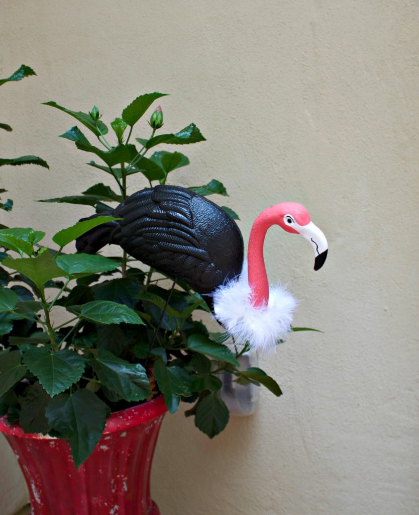 Create a flamingo vulture to decorate your home or yard with this Halloween.  Take one of your pink plastic flamingos and give it a makeover!