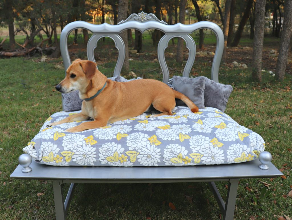 Elegant pet beds can get expensive, but you can make your own dog bed for a fraction of the cost!