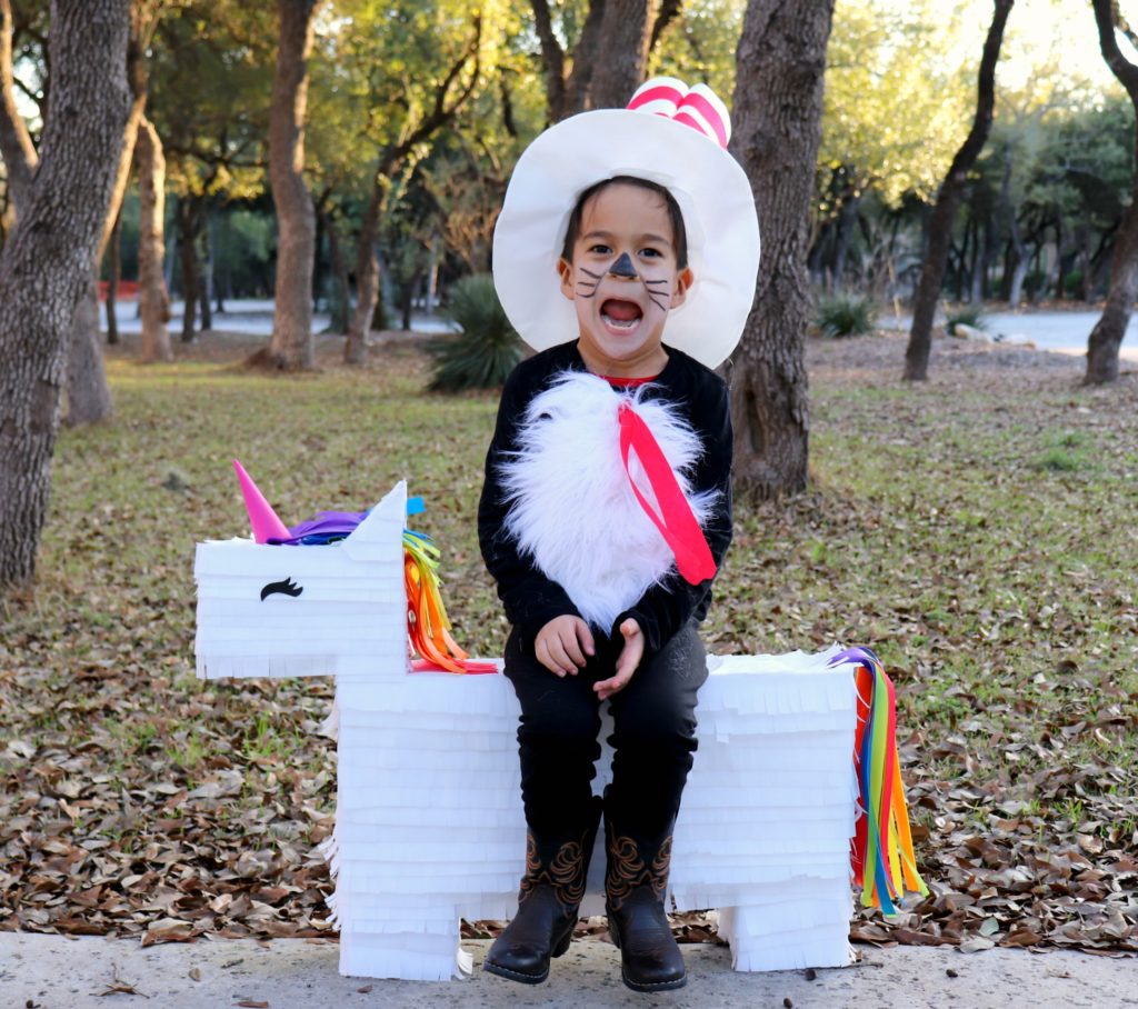 Cat in the Hat Costume Tutorial