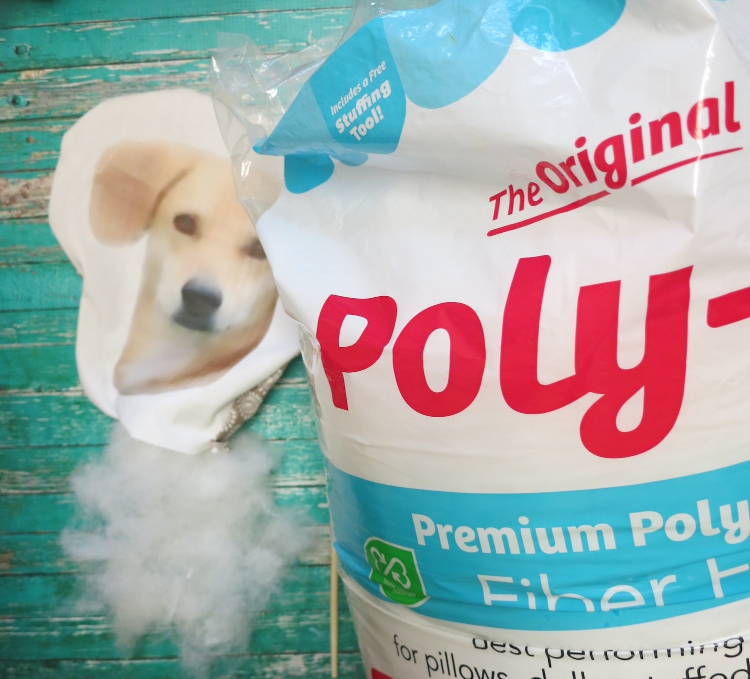 polfil pet pillow DIY