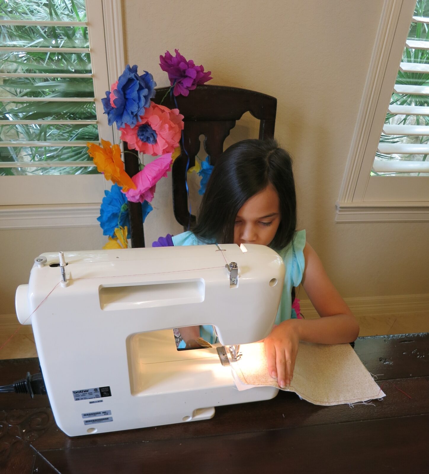 pet photo pillow DIY