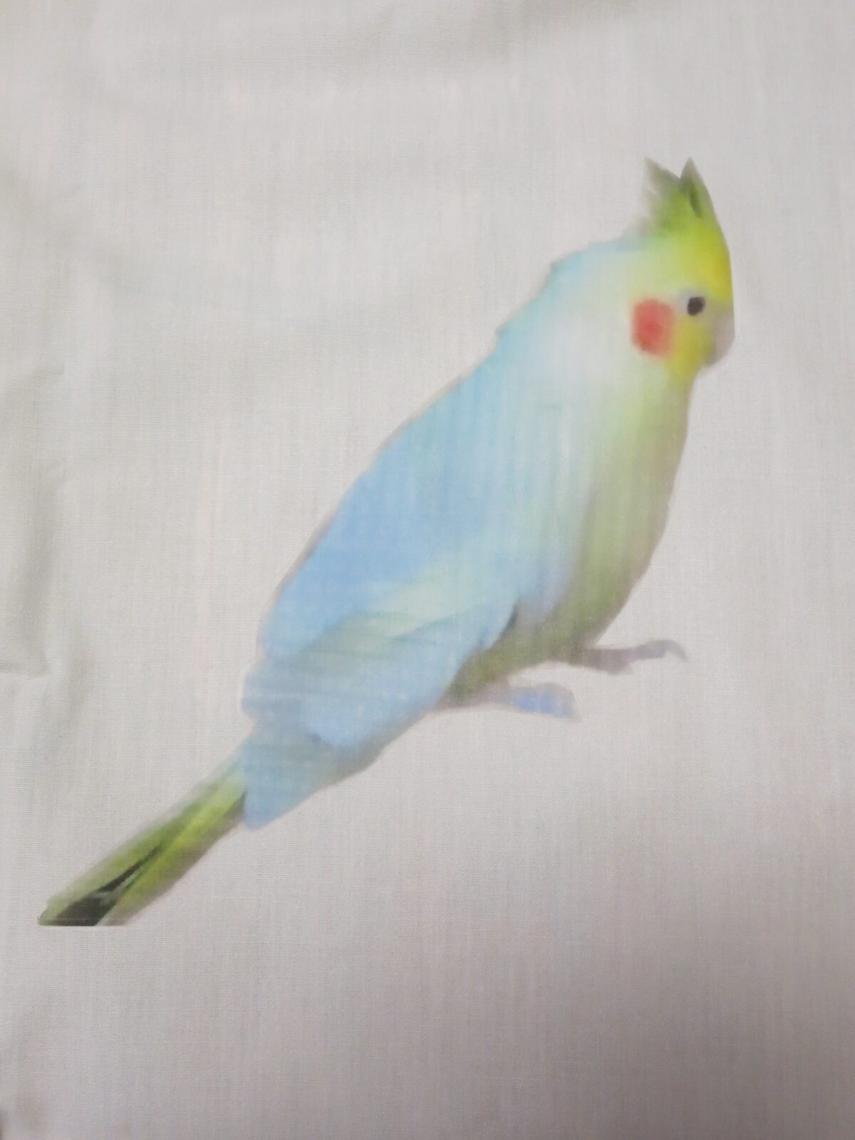 DIY pet photo pillow of bird cockatiel