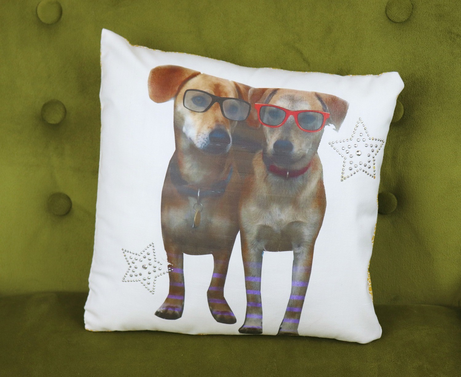 funny dog pillow