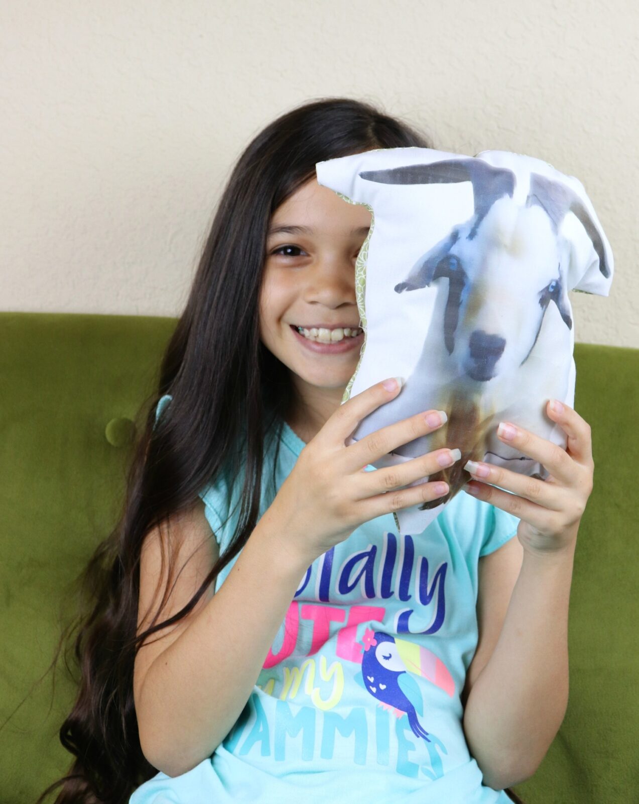 DIY pet photo pillow