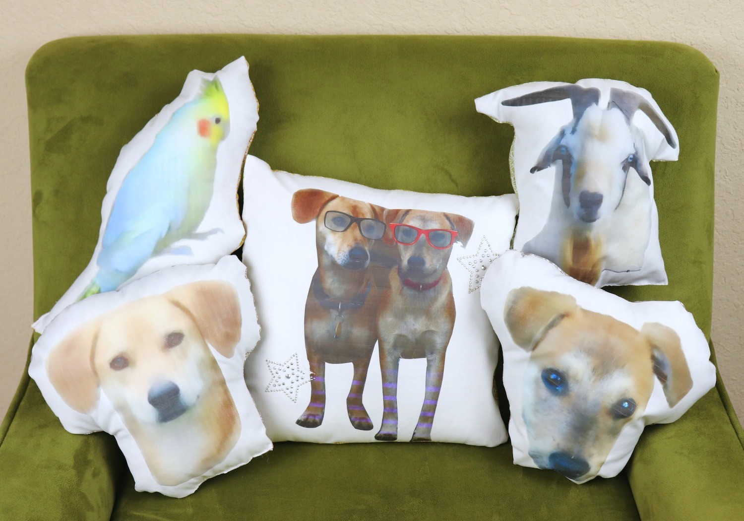 Turn your pet into a pillow