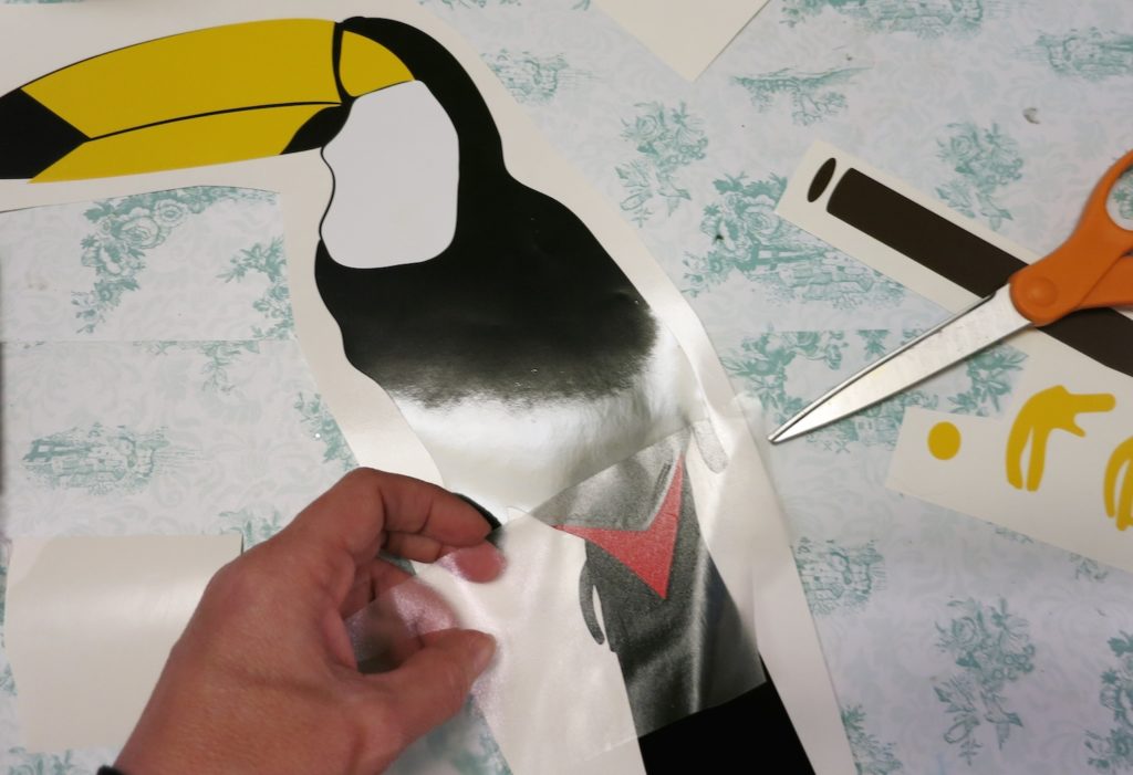 vinyl toucan
