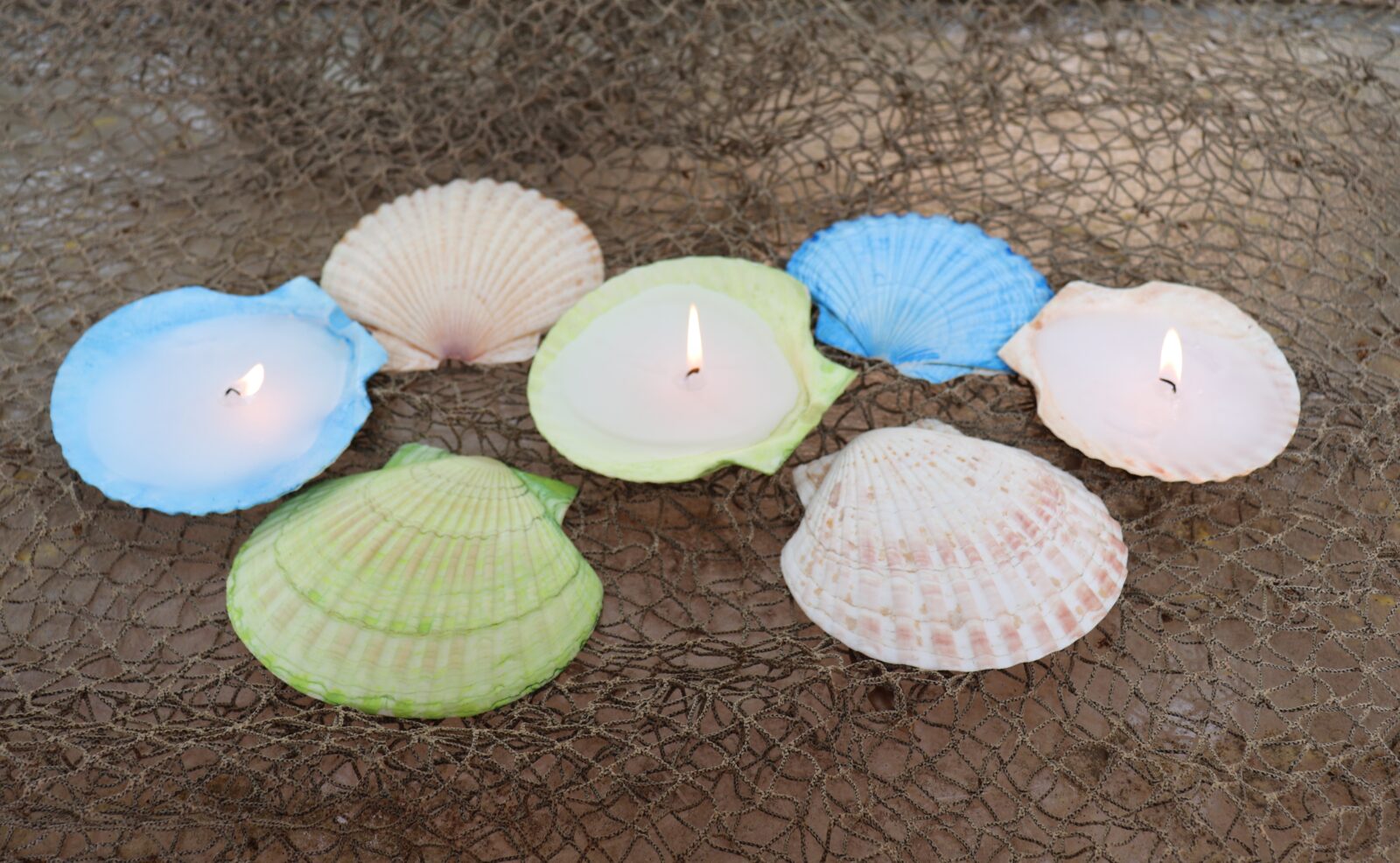sea shell candles