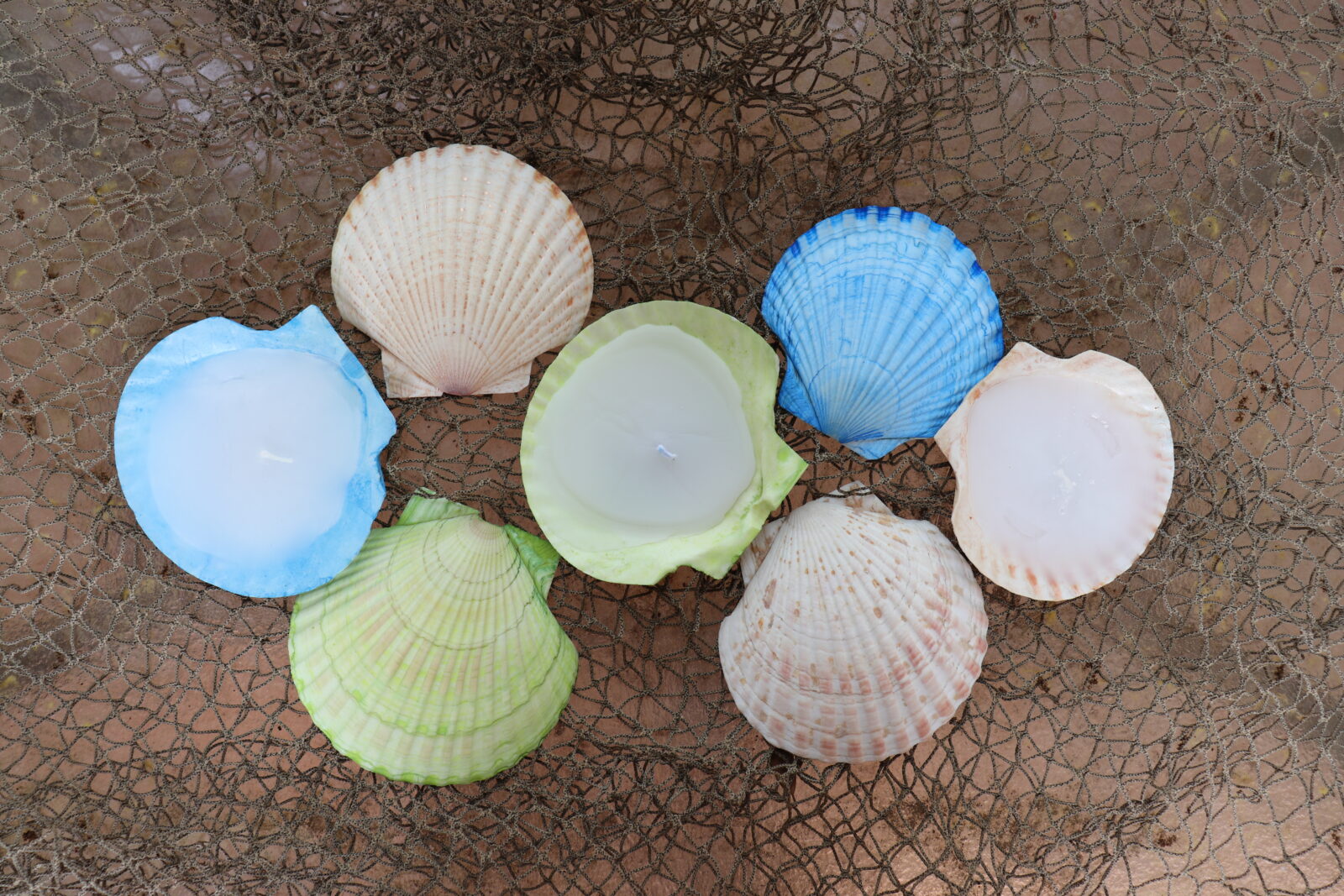 sea shell candles