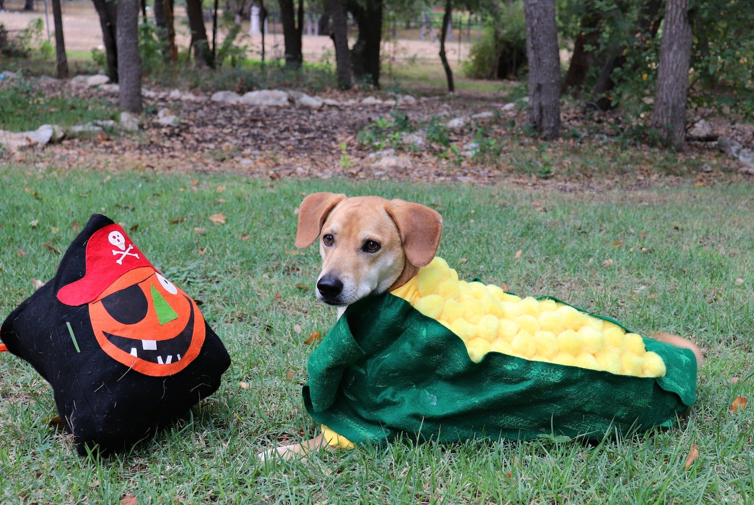 corn dog costume DIY