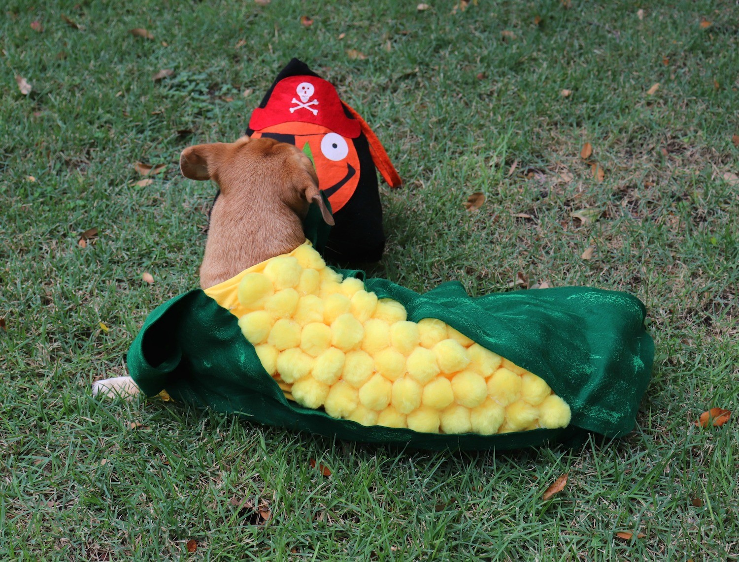 Corn Dog Halloween Costume Tutorial