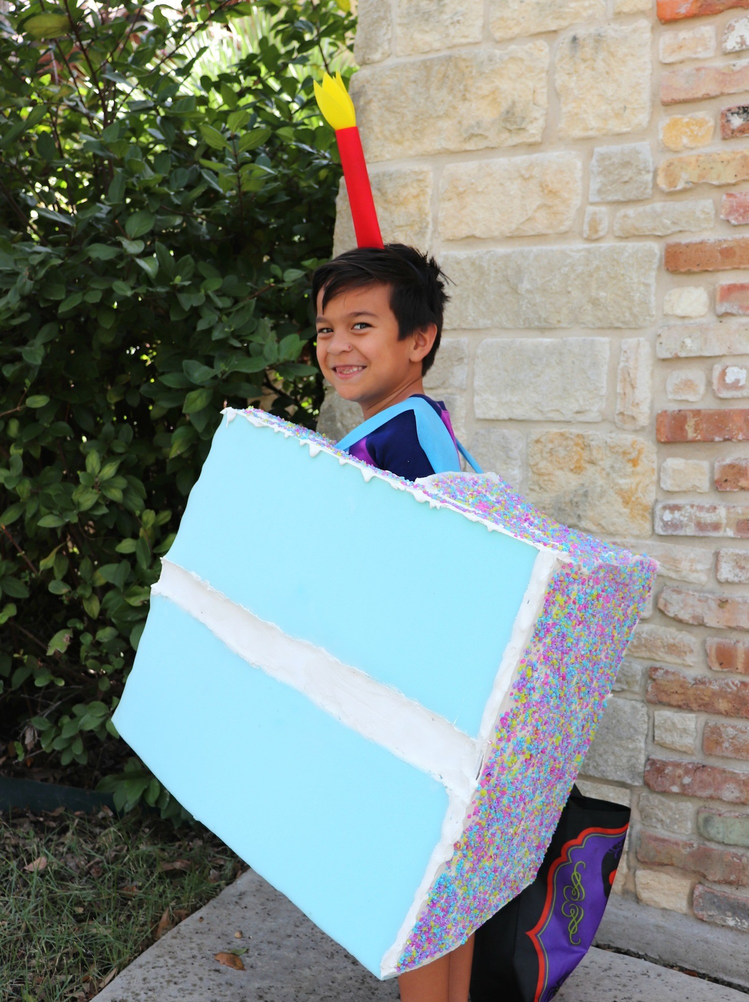Cake Slice Costume Halloween Tutorial
