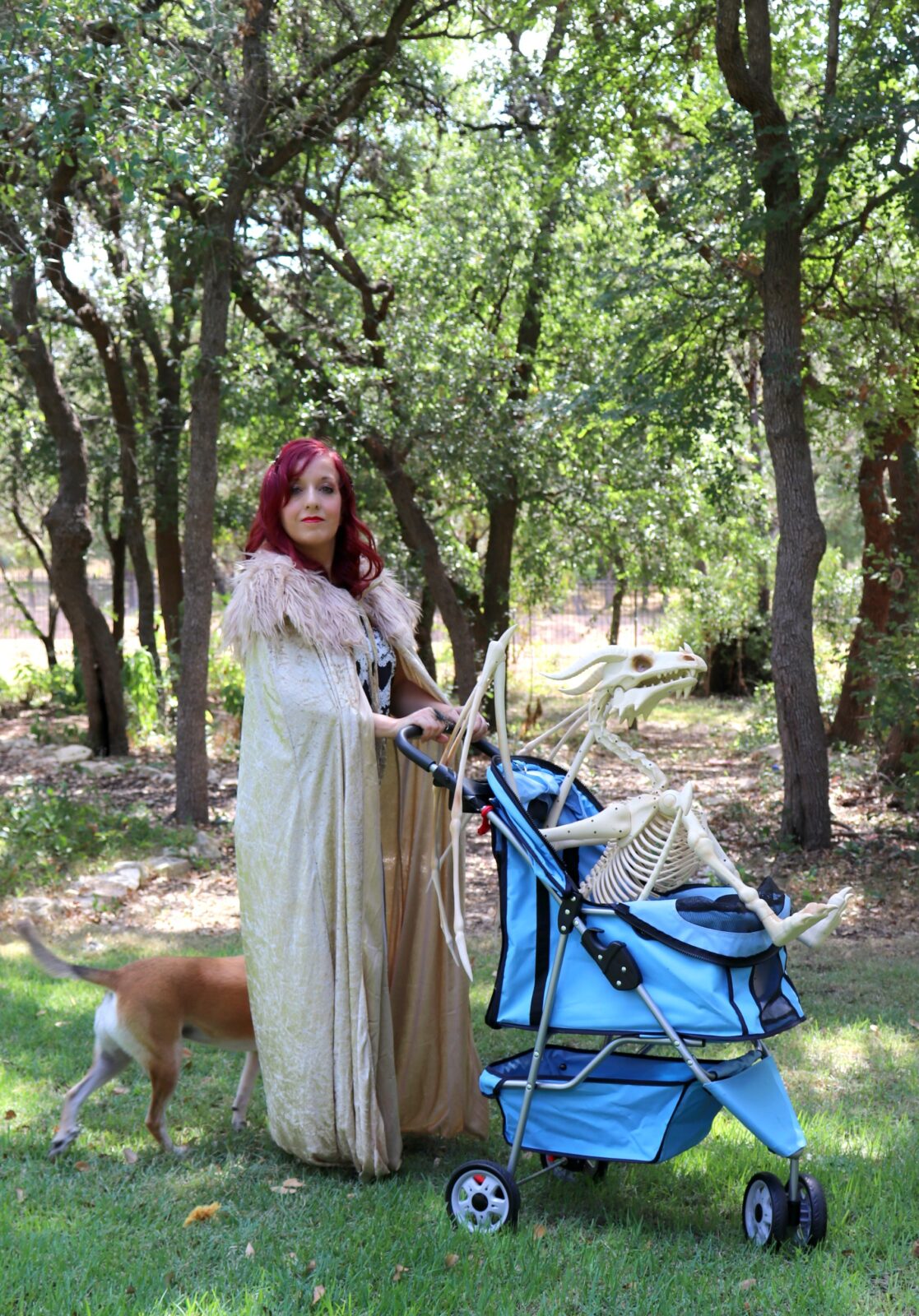 Mother of Dragon