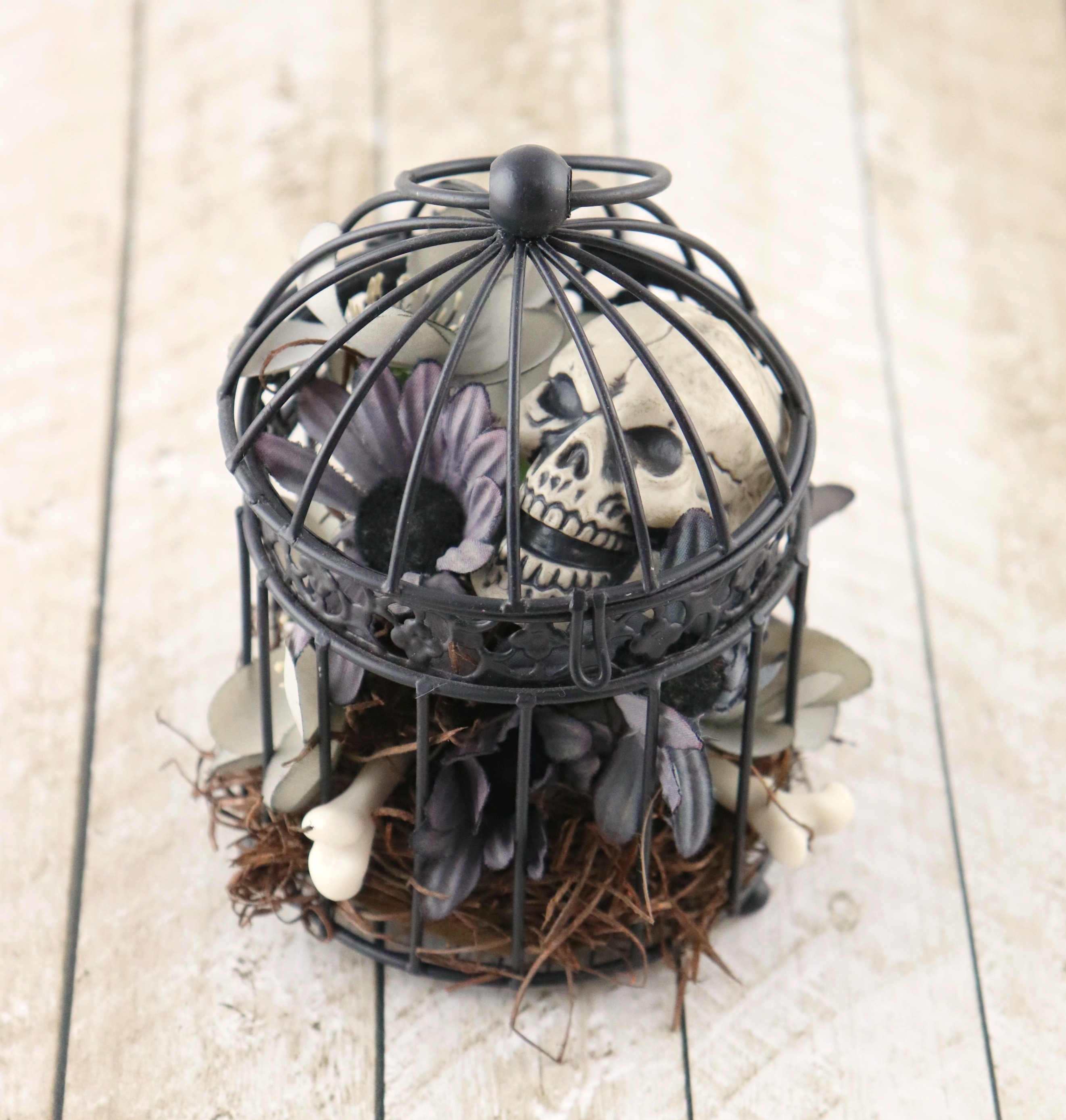 goth birdcage