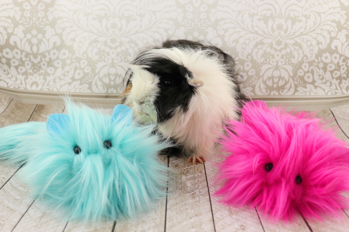 furball friends tutorial
