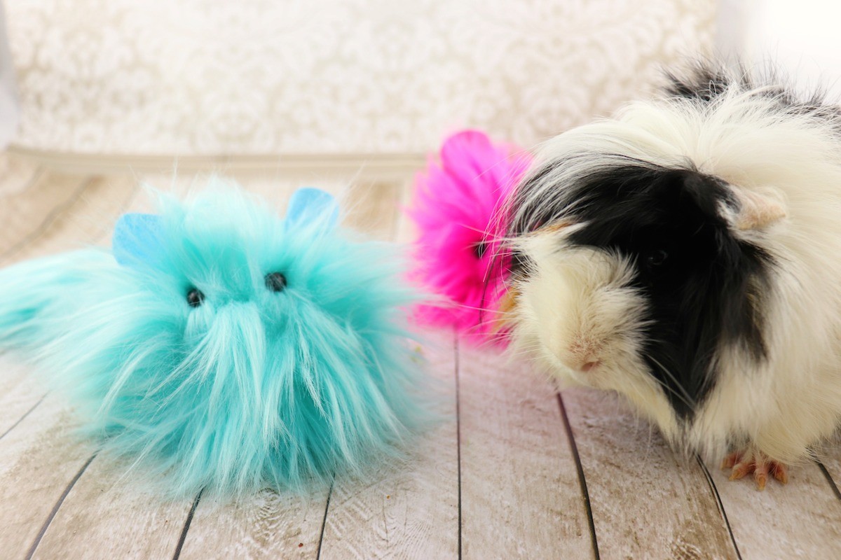 Furball Friend Tutorial