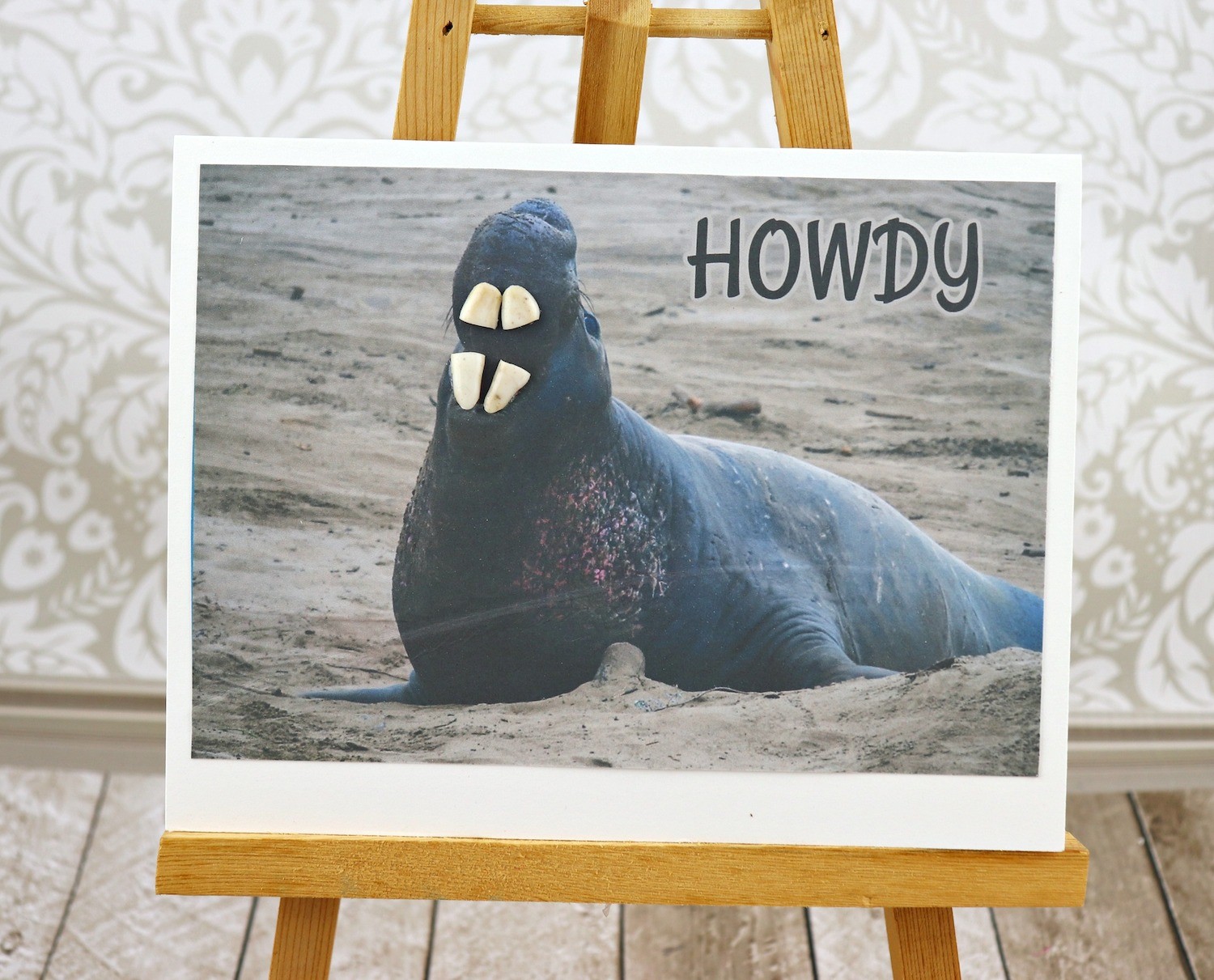 sea lion with teeth card DIY
