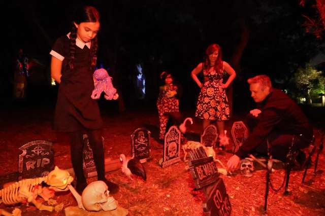 Halloween cemeteryy with flamingo vultures
