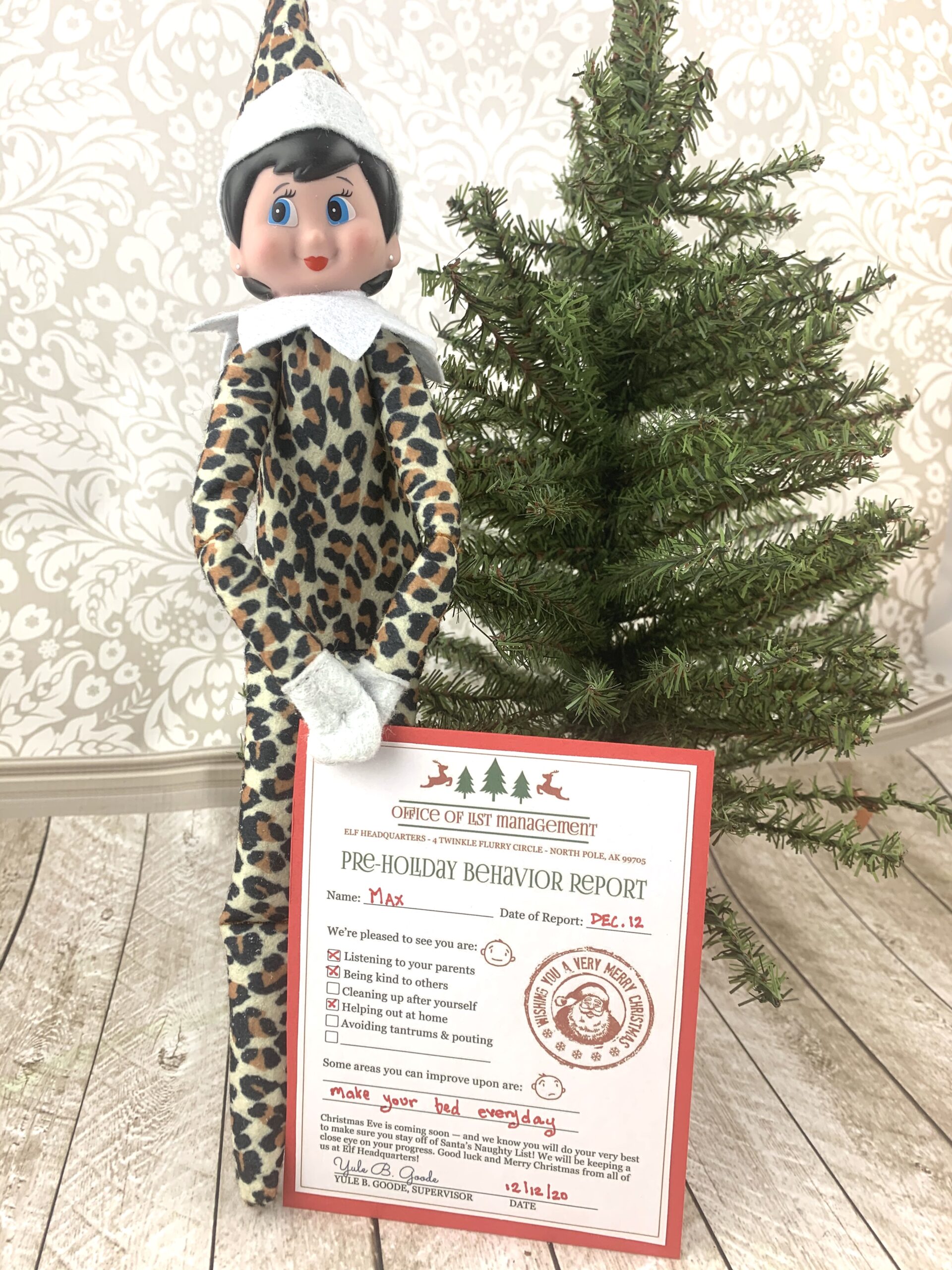 eld on the shelf printable progress report