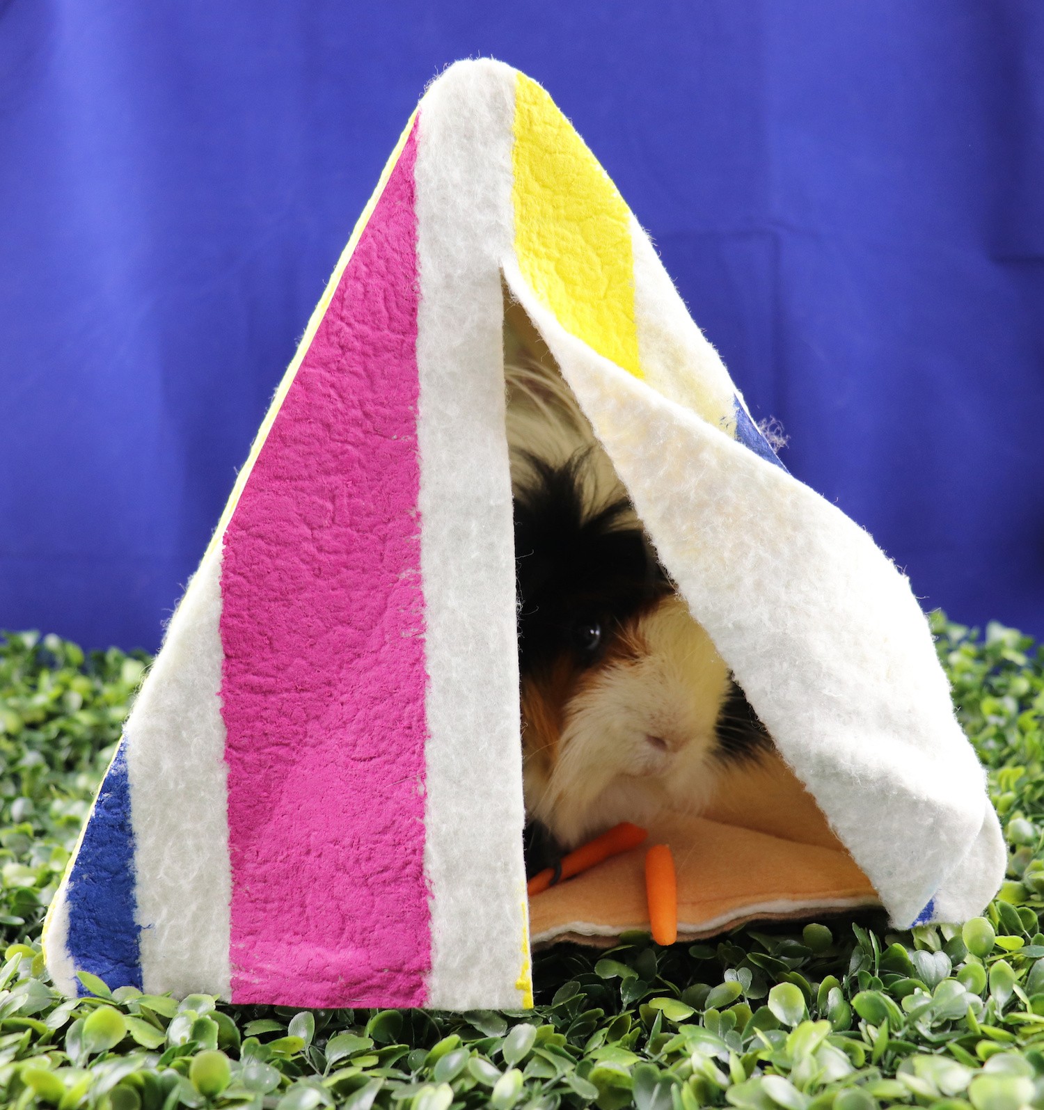 guinea pig tent DIY