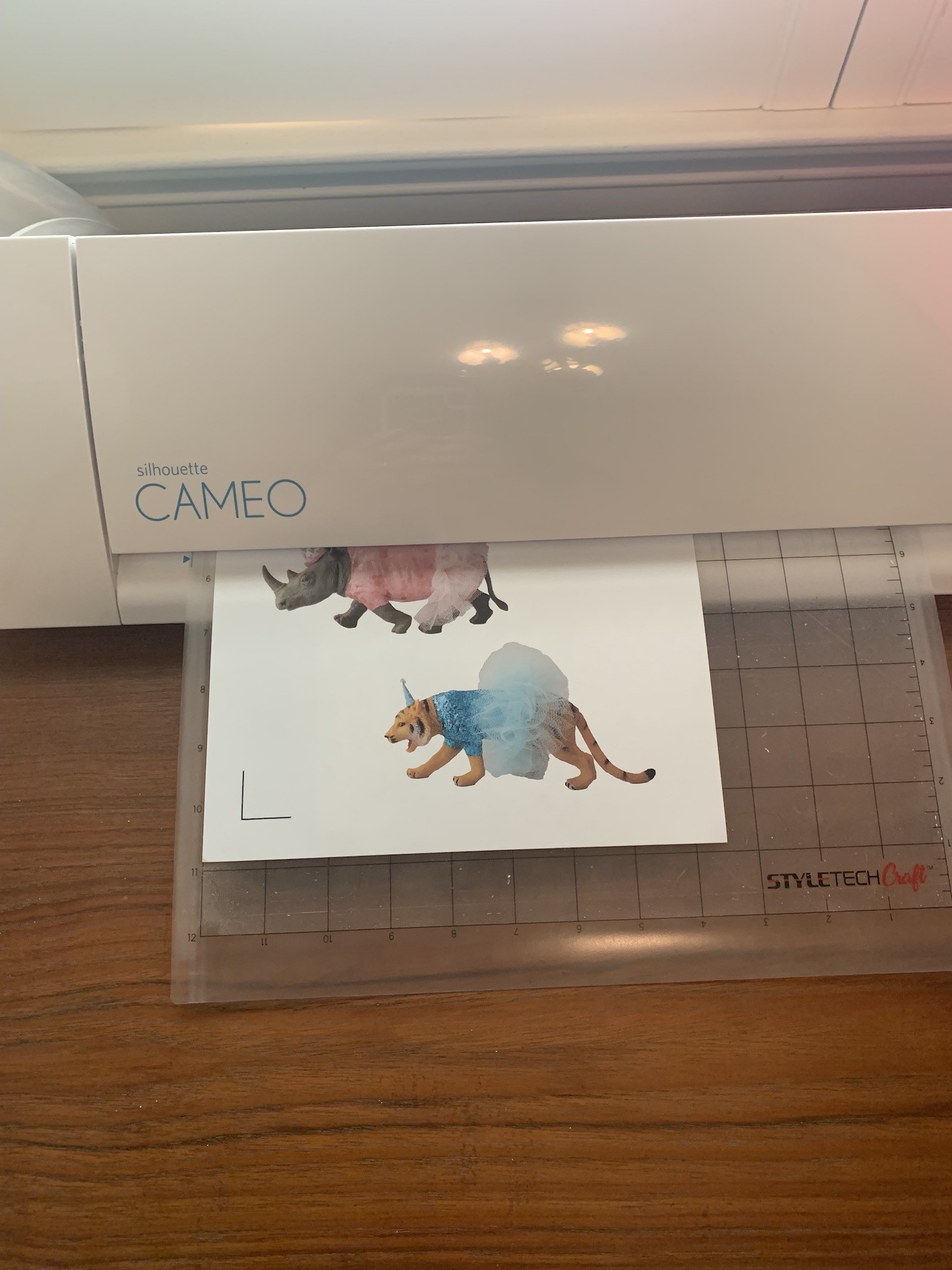 cameo cut stickers