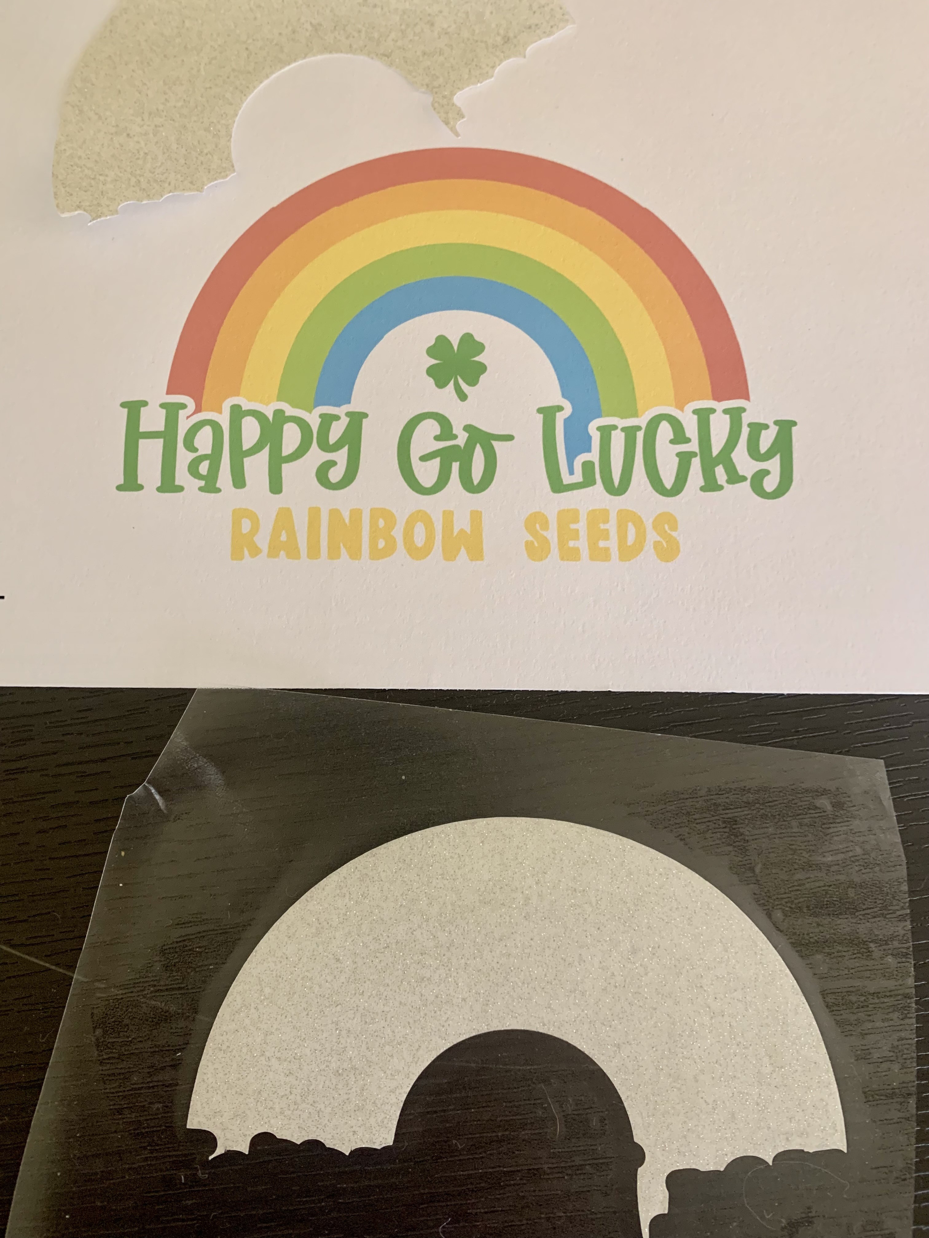 transparent glitter vinyl