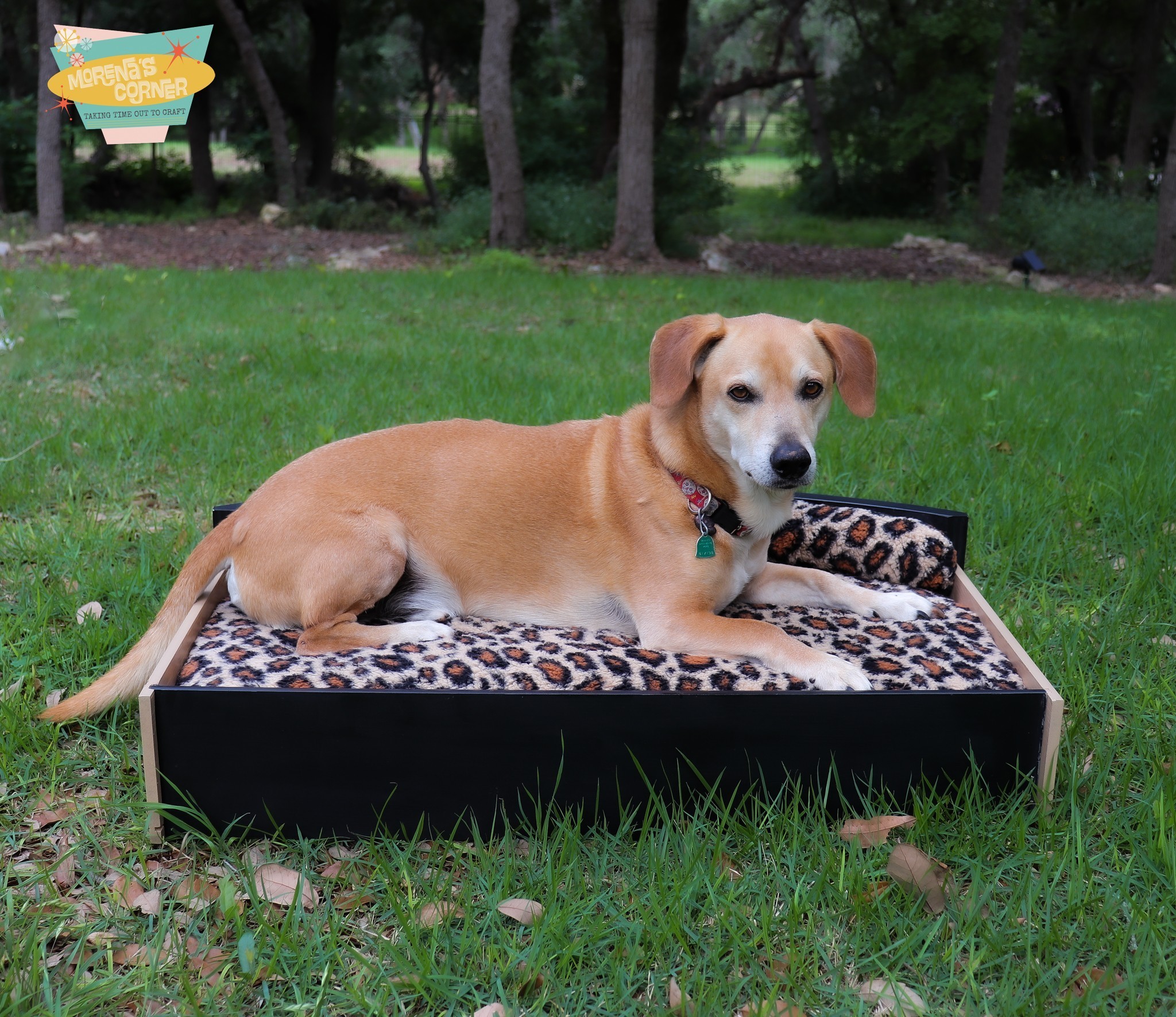 upcycle a dresser into a dog bed