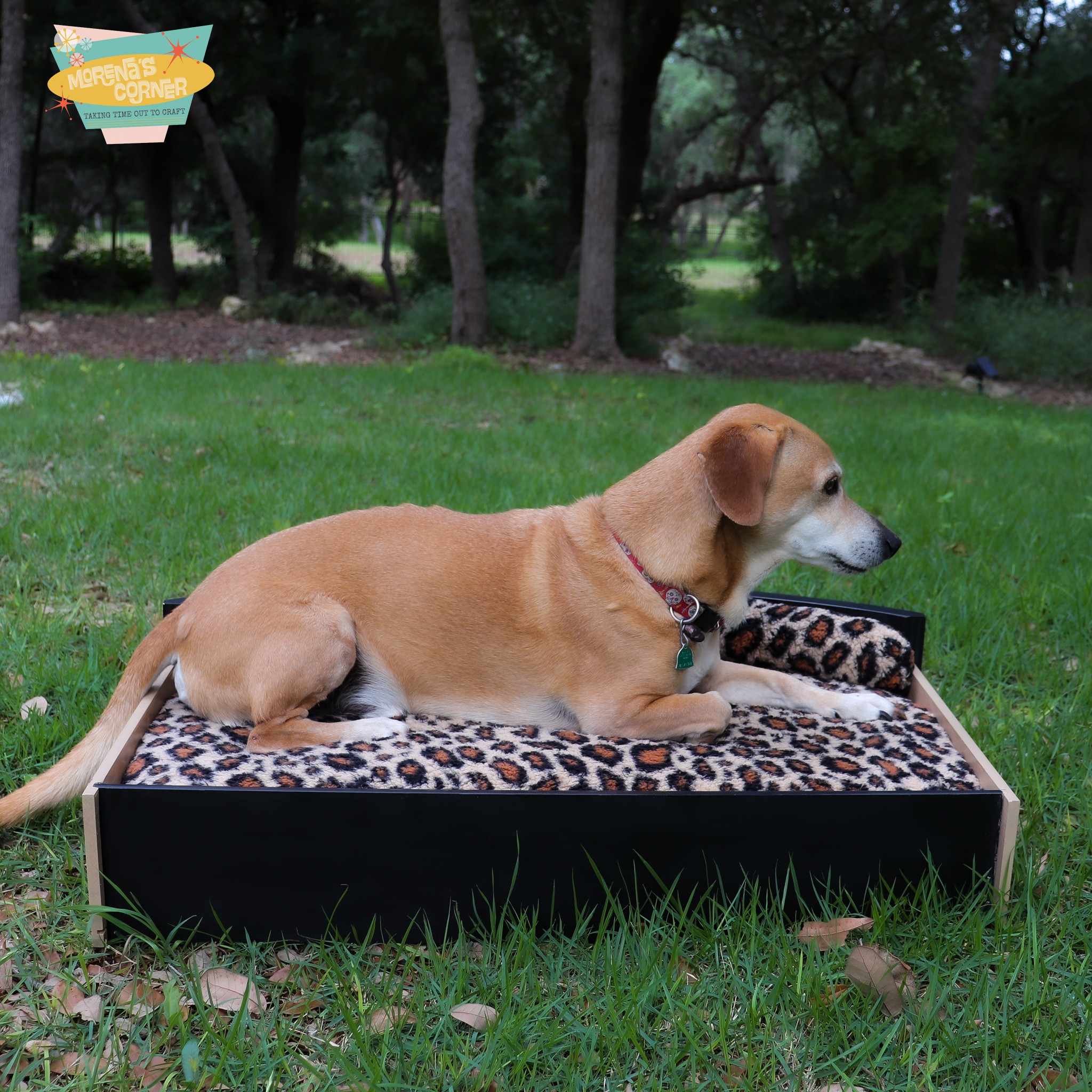 upcycle to make a pet bed