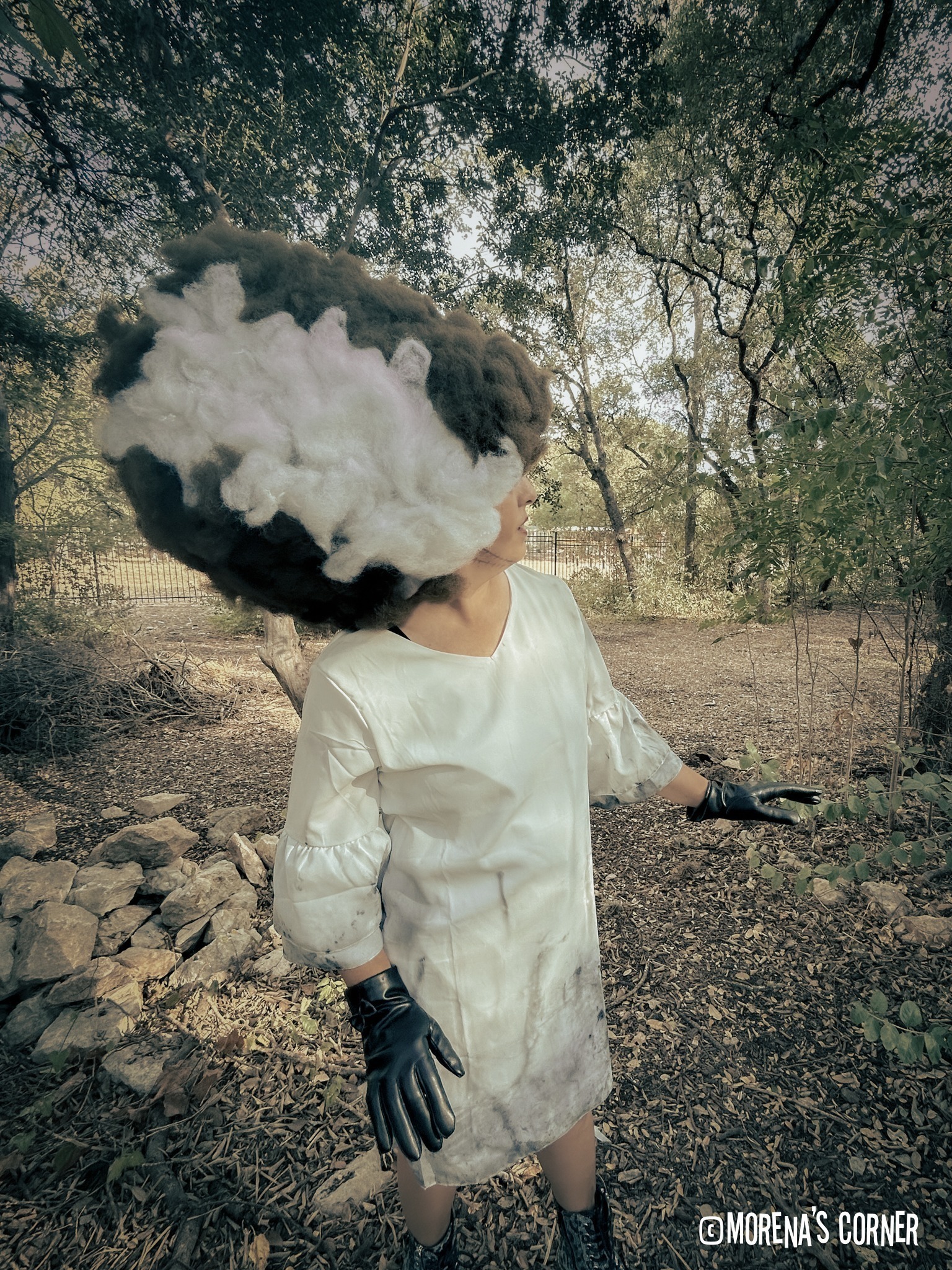 DIY bride of frankenstein wig
