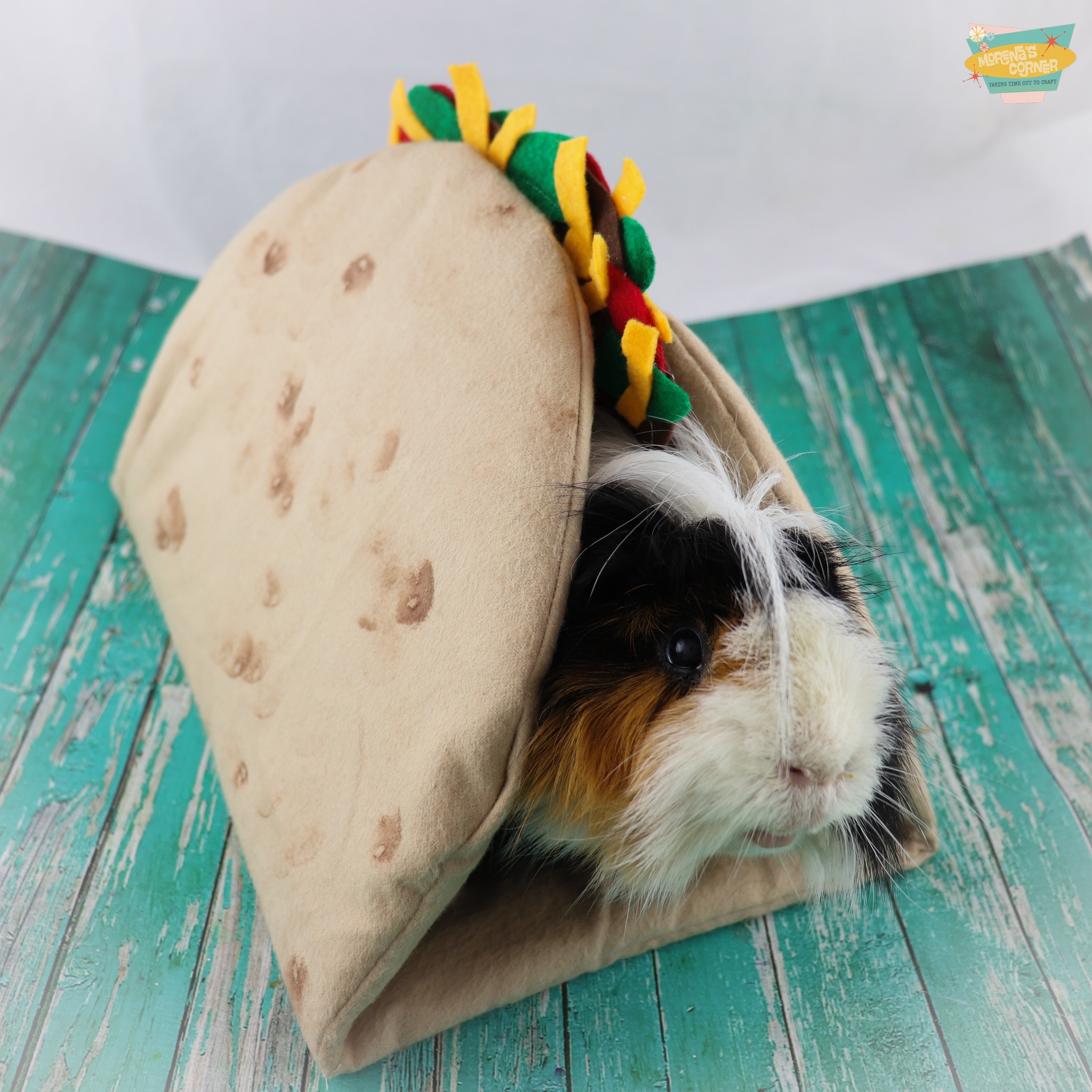 Pet Taco Tunnel: Cute DIY Gift Idea