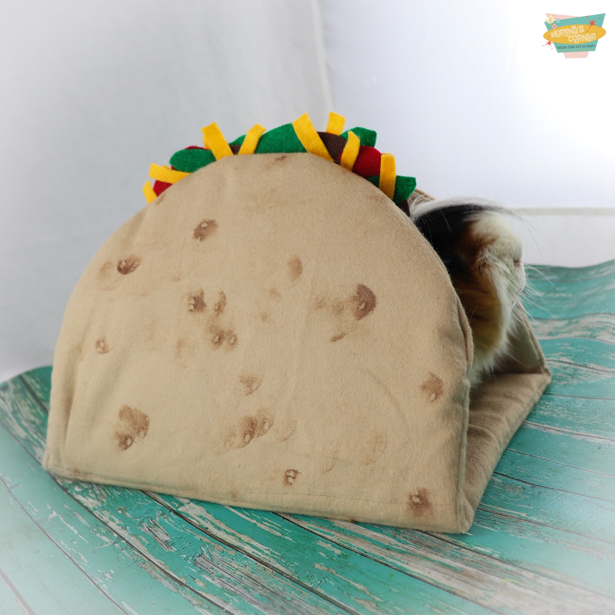 Pet Taco Tunnel: Cute DIY Gift Idea
