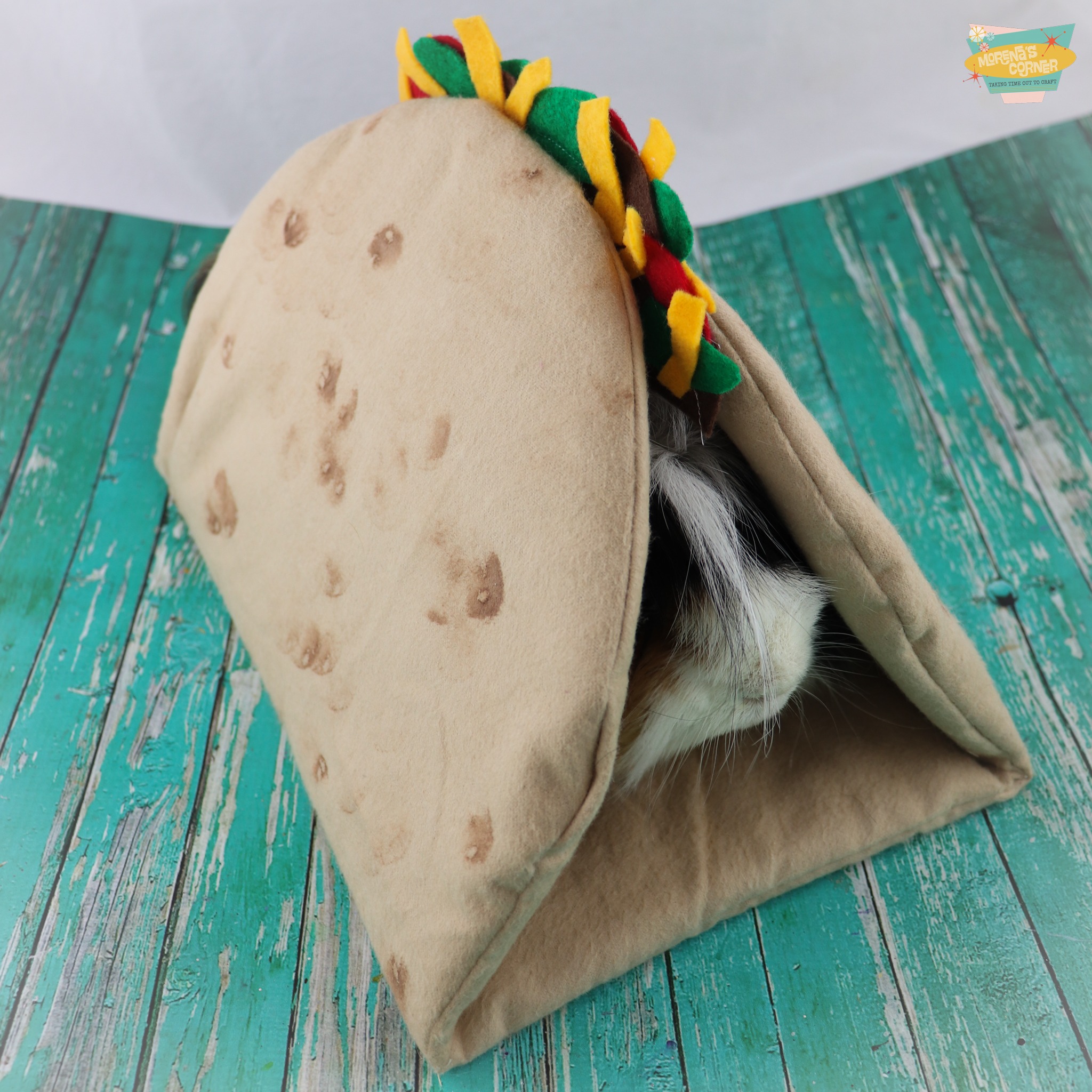 pet taco tunnel DIY