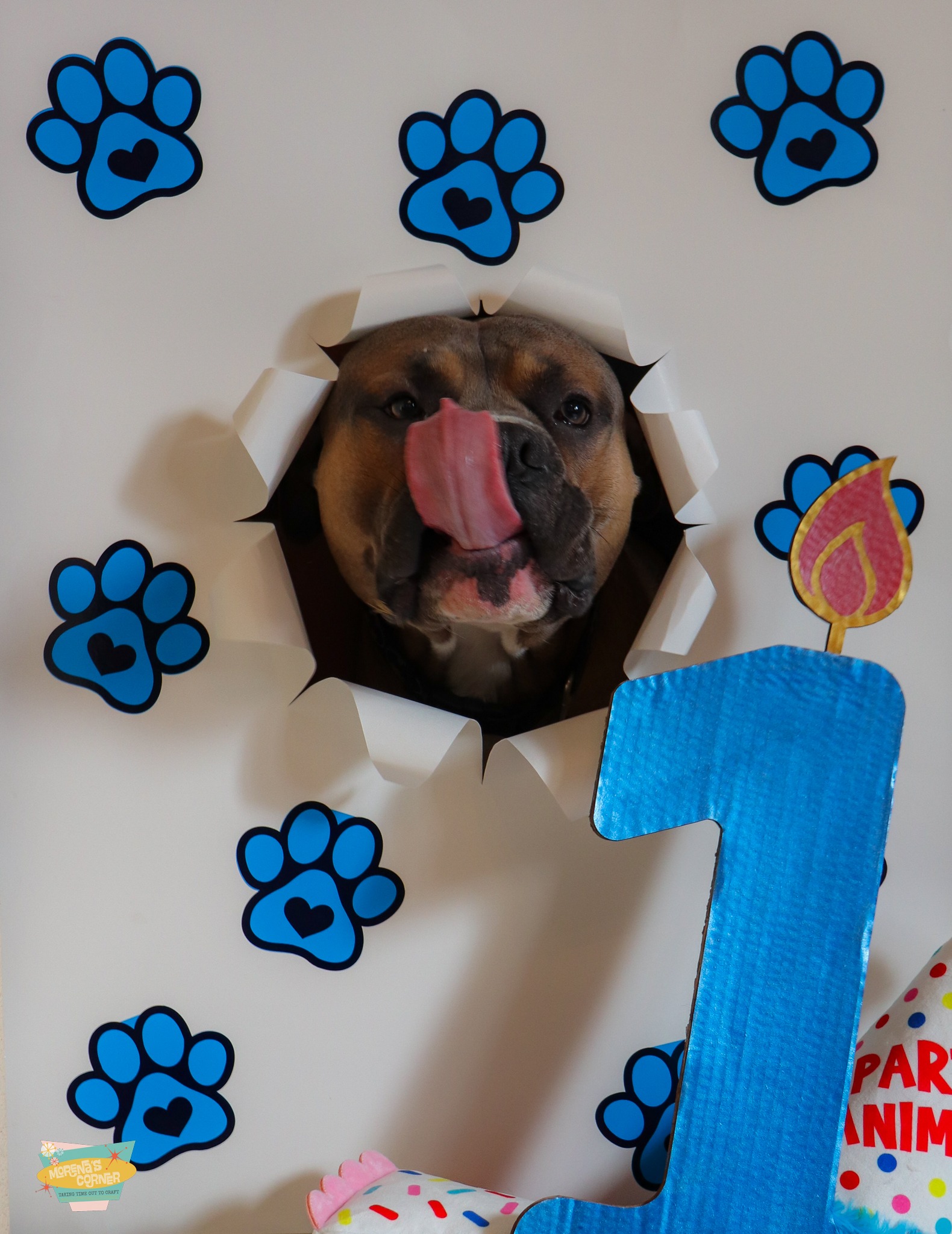 puppy birthday